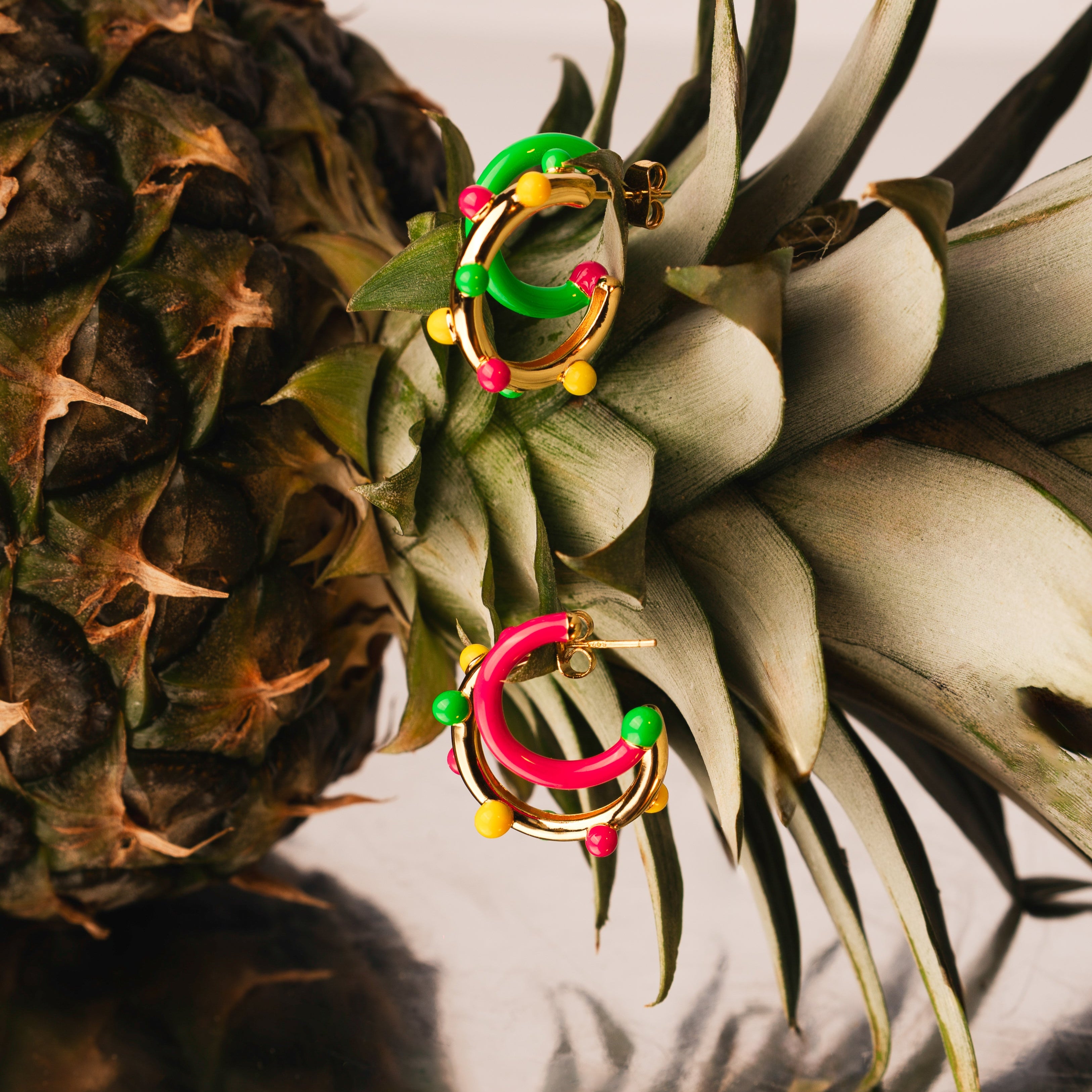 Deux boucles d'oreilles